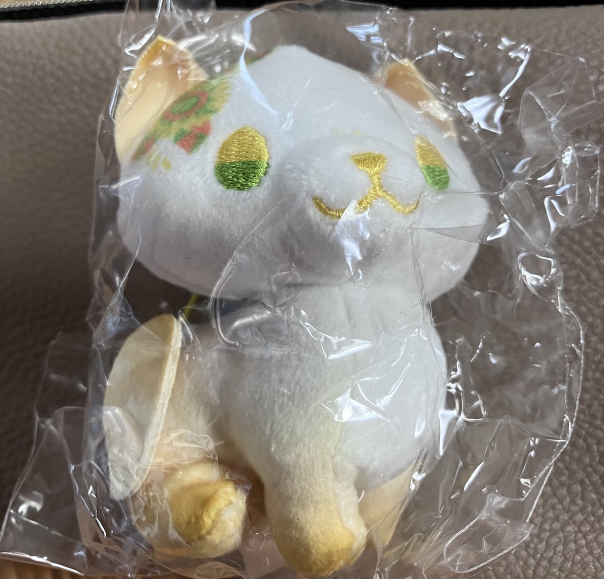 もっちん 歌謡曲好き tweet media