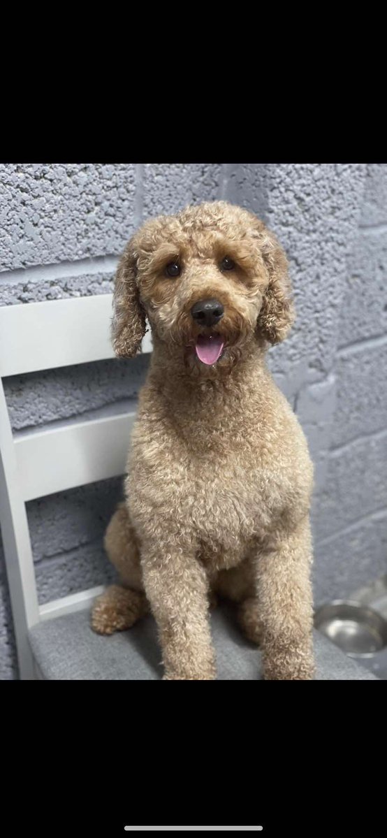 Josh Mun tweet media