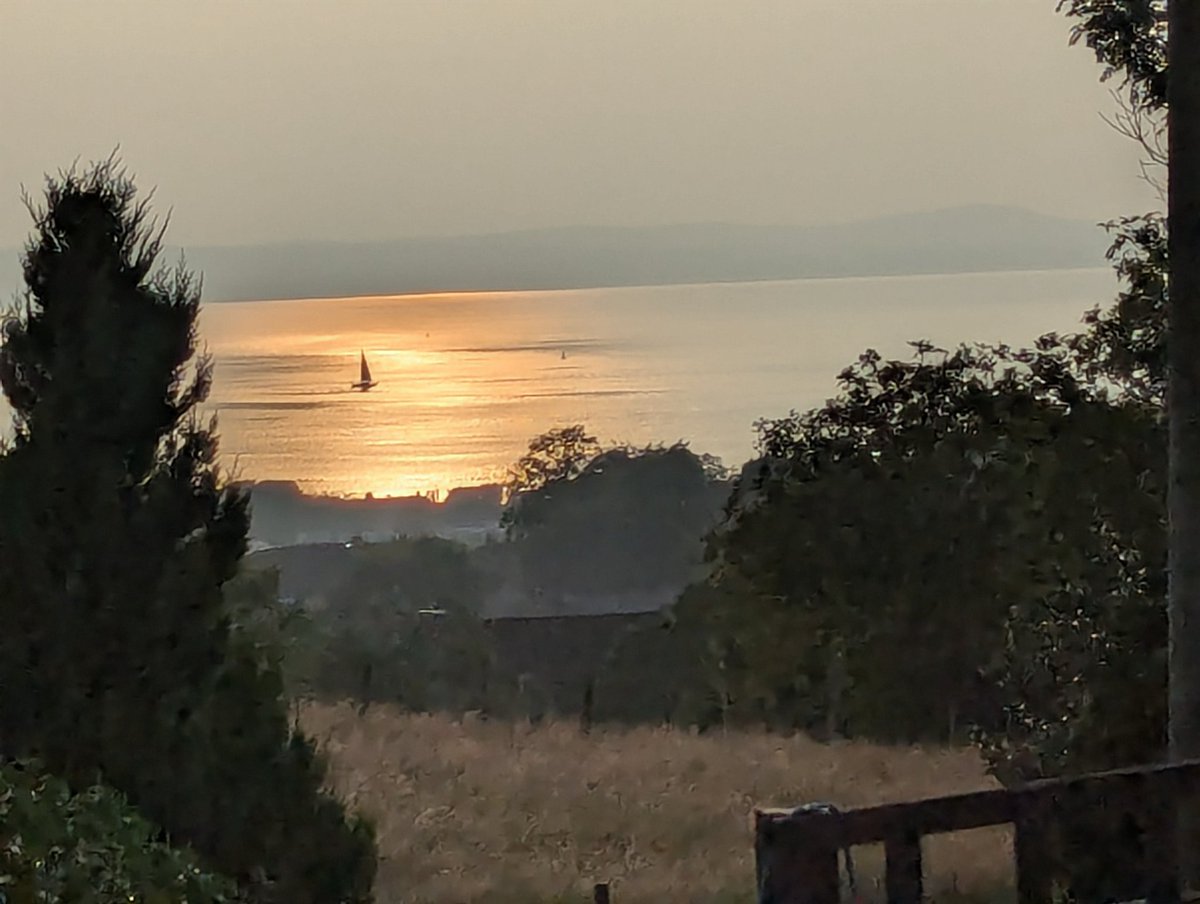 LavandaMia tweet media