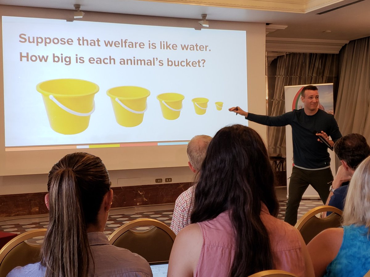 Tamara Tadich (@tamara_tadich) on Twitter photo Excelente plenaria de Bob Fischer sobre cuantificación económica de #BienestarAnimal #WAFL2024  #AnimalWelfare Excelente plenaria de Bob Fischer sobre cuantificación económica de #BienestarAnimal #WAFL2024  #AnimalWelfare