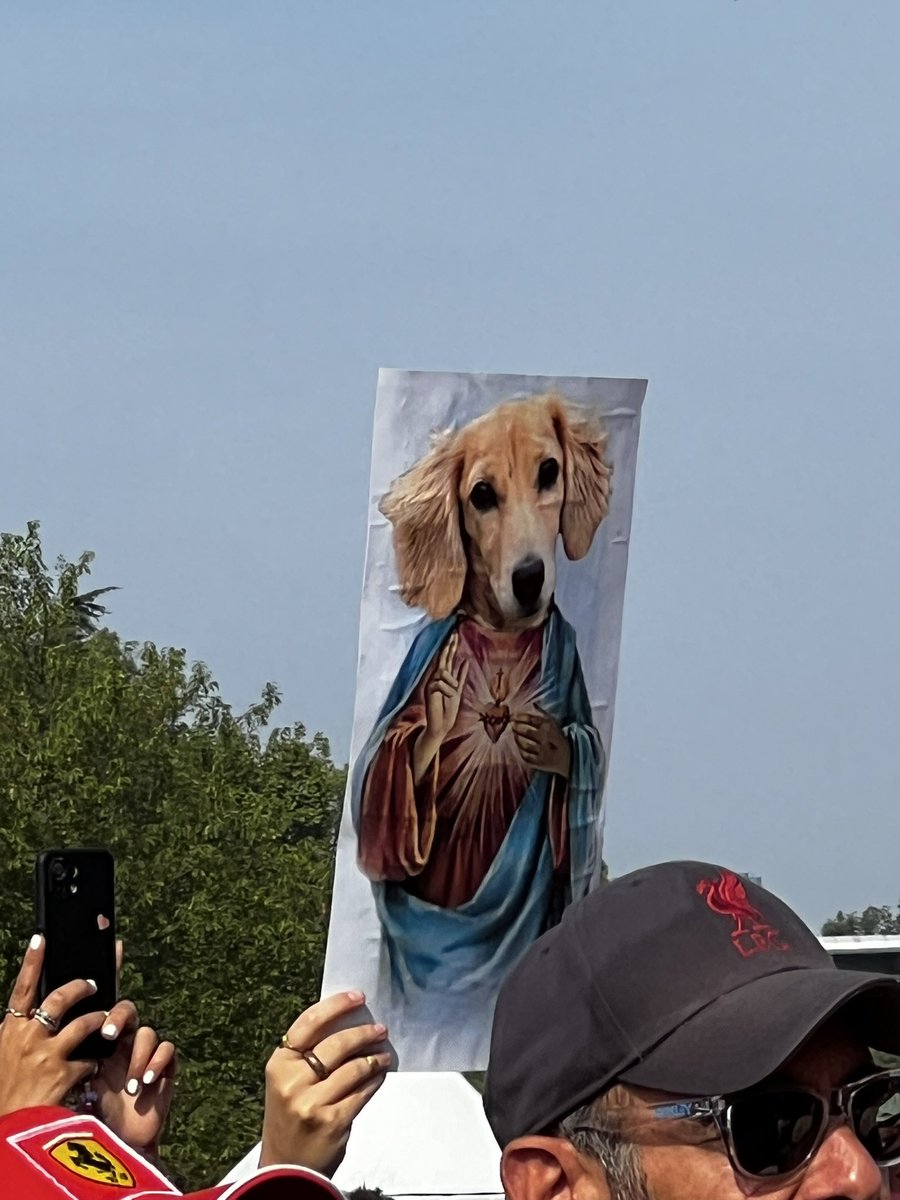 omg 😭😭😭😭😭

📷: <a href="/AnaFerrariHeart/">Ana Mihajlovic📷🏎️</a>