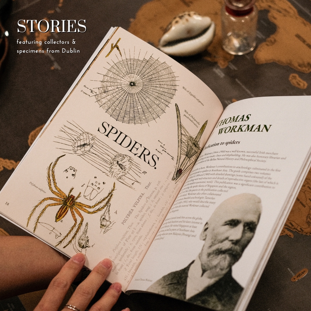 SIGNIFY presents "Singapore at The Dead Zoo", a collaborative effort with National Museum of Ireland – Natural History &amp; celebrates 50 years of diplomatic ties between Ireland and Singapore through natural history. Join us as we celebrate the official launch!🎉 <a href="/DublinDeadZoo/">Dublin's Dead Zoo</a>