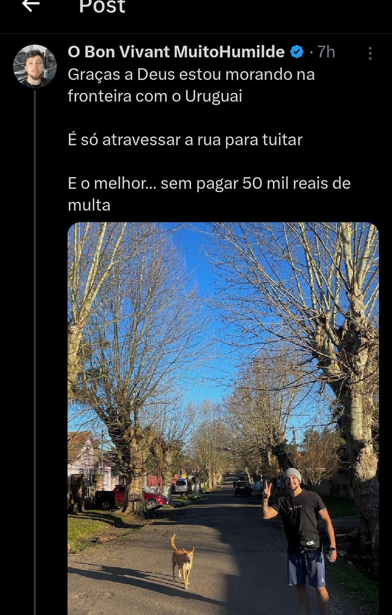 ElBuni tweet media