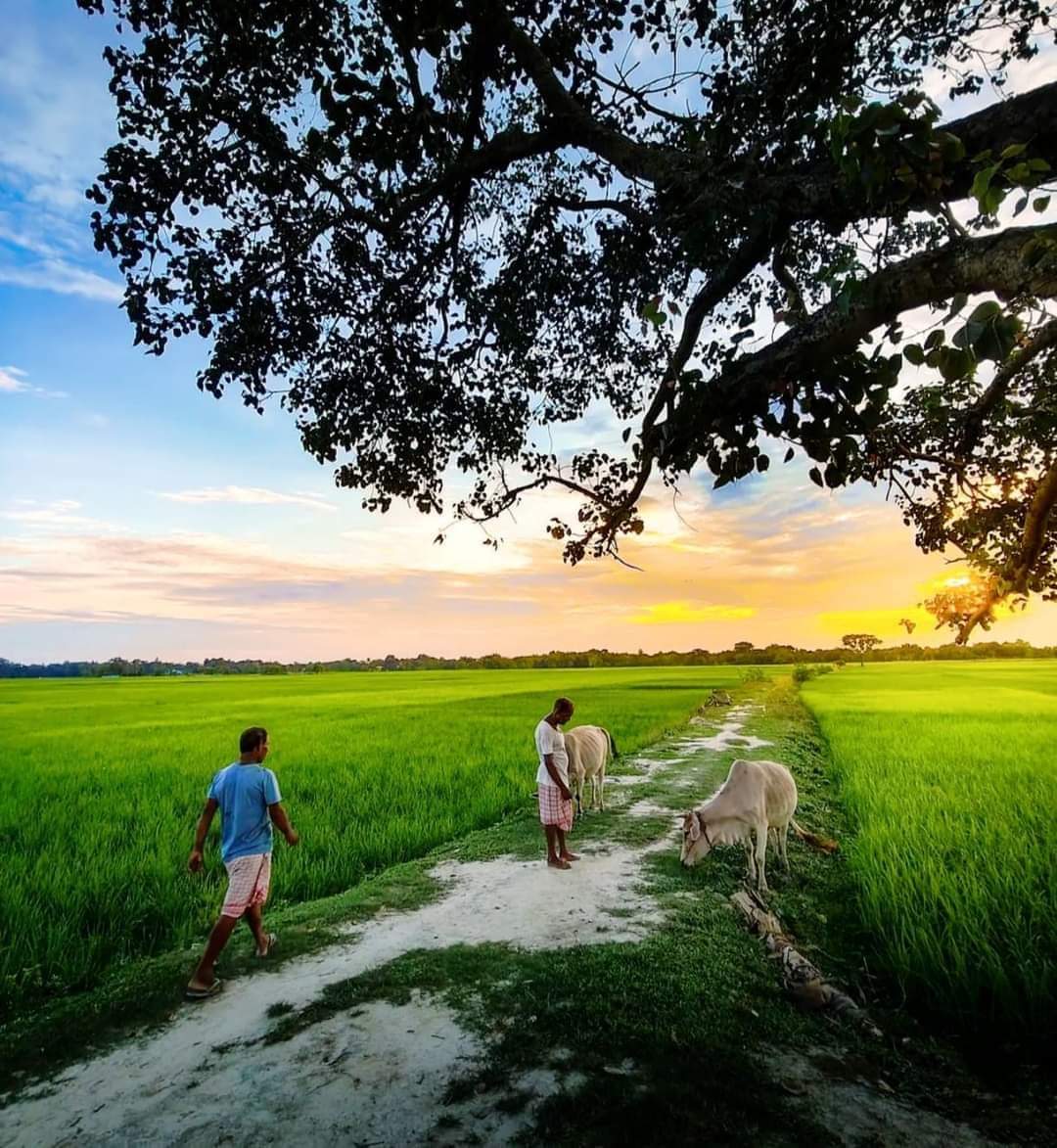 गांव की सुबह की बात ही कुछ और होती है एक नई ऊर्जा और एक नई ताजगी होती है। आप सबके लिए गांव से ताज़गी से भरी हुई सुबह का दृश्य।🌄
#GoodMorning