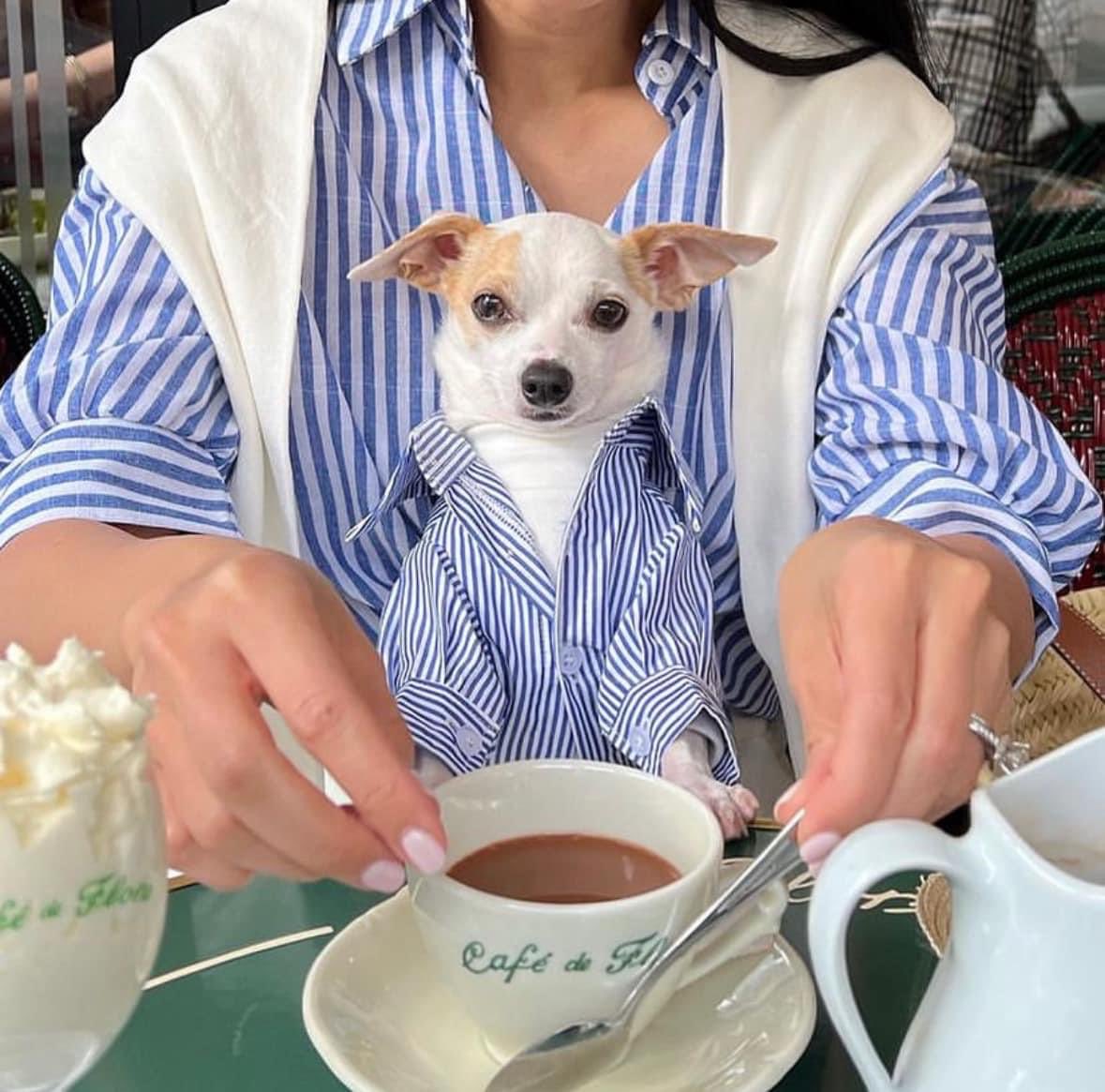 Mi mamá con el perrito que no quería que adoptara: