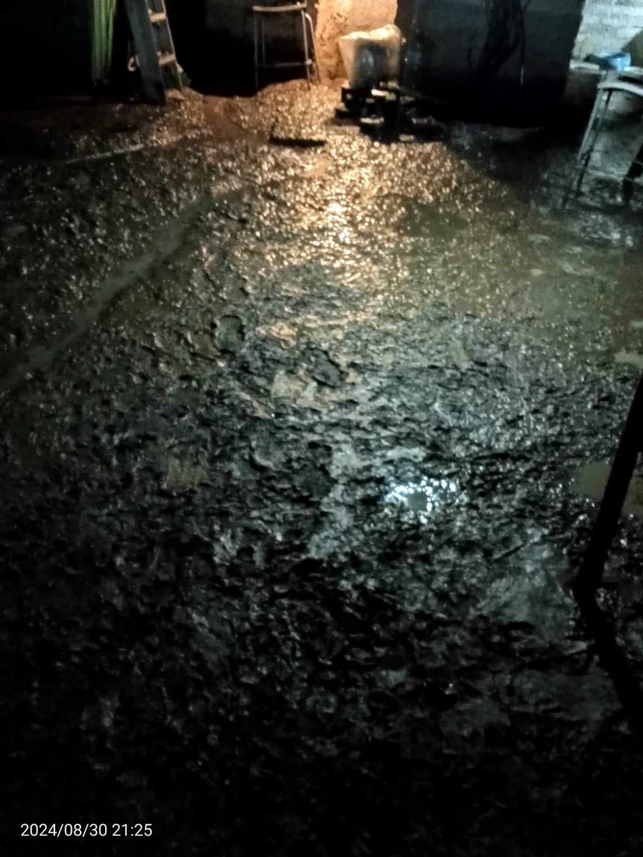 alberguepergatu's tweet photo. Lamentablemente la situación es grave en las instalaciones del albergue, el agua ha afectado la vivienda de nuestro amigo Pancho que salvaguarda el bienestar de los animales, pedimos difusión de lo que está pasando en Nicolás Romero debido a las lluvias. RT @Edomex @pciviledomex https://t.co/LWNl0zcrwk