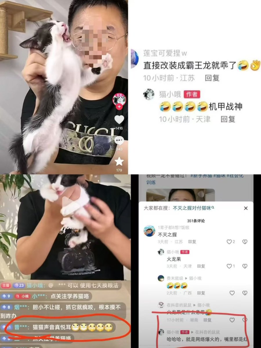 luckyding007's tweet photo. @SharX1433703 Please help us，Chinese Tiktok anchor 猫小哦 abused cats under the guise of "training cats" and abused a cow cat to death.  Chinese animal lovers reported him but to no avail. We hope that caring people around the world put pressure on the Chinese government to ban such anchors. https://t.co/IqzLEwNCGZ