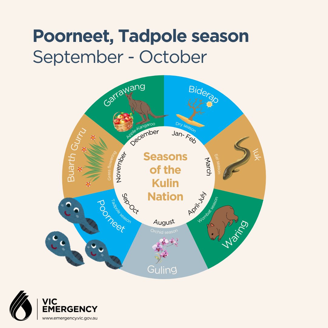 We’re now in Poorneet! 

The Kulin Nation Indigenous seasonal cycle recognises seven distinct weather periods that occur across the year.

To find out more about the Kulin Nation seasonal cycle, visit inspiringvictoria.org.au/2020/08/13/sea…