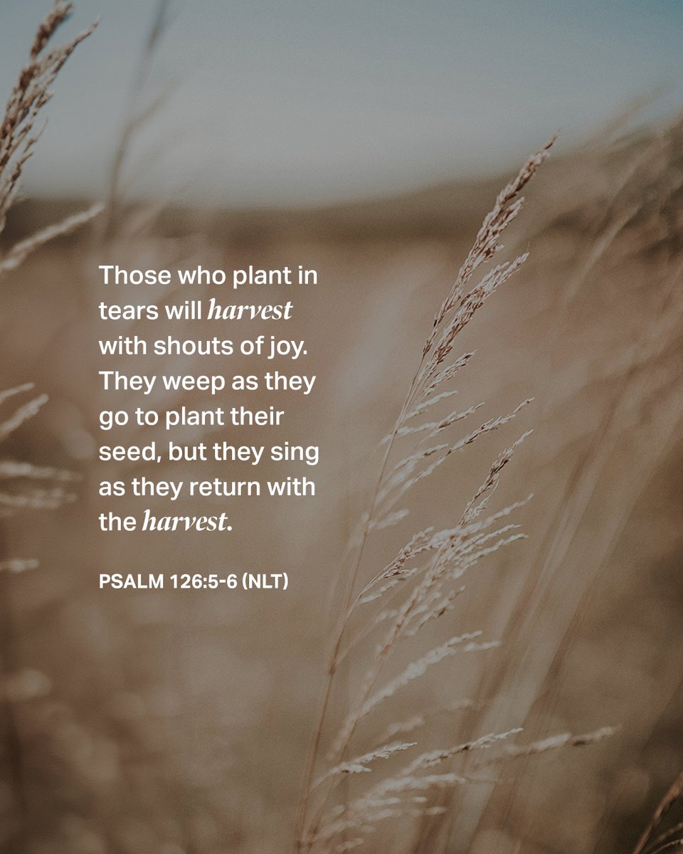 Those who plant in tears will harvest with shouts of joy. They weep as they go to plant their seed, but they sing as they return with the harvest. Psalm 126:5-6 (NLT)

We’d love to hear the verse on your heart below and please do share!

#bibleverse #247prayer