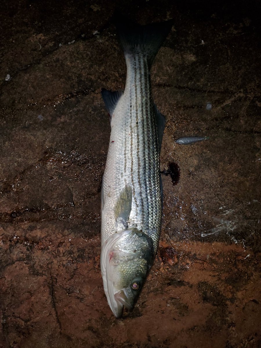 Caught a baddie! Ima eat good this weekend 😋