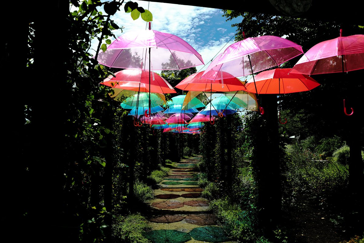 こんにちは。えこりん村です。

本日までとご案内していた銀河庭園内の「アンブレラスカイ」ですが、明日9月1日まで延長いたします。

#えこりん村 #アンブレラスカイ