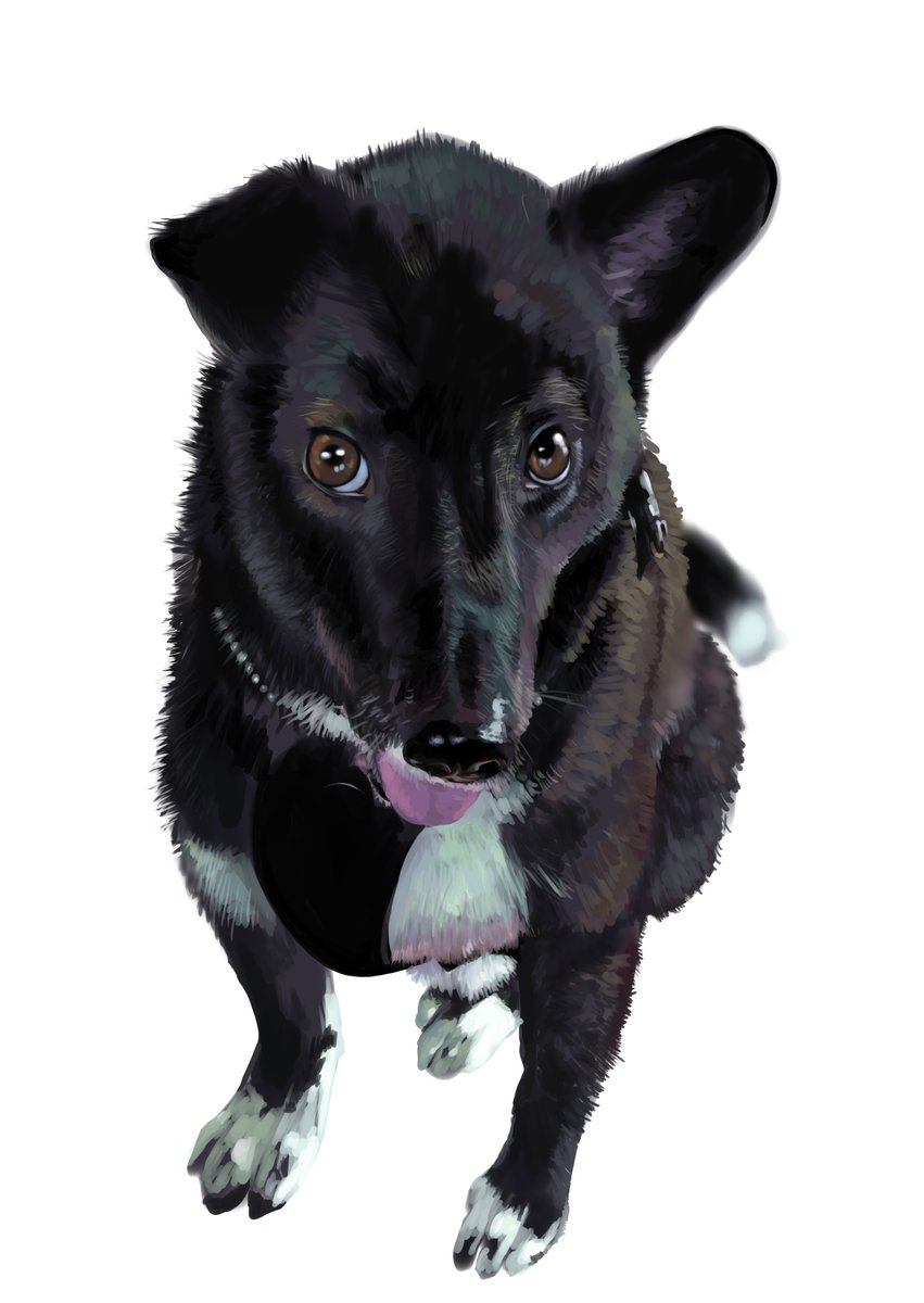 #今月描いた絵を晒す
その1 