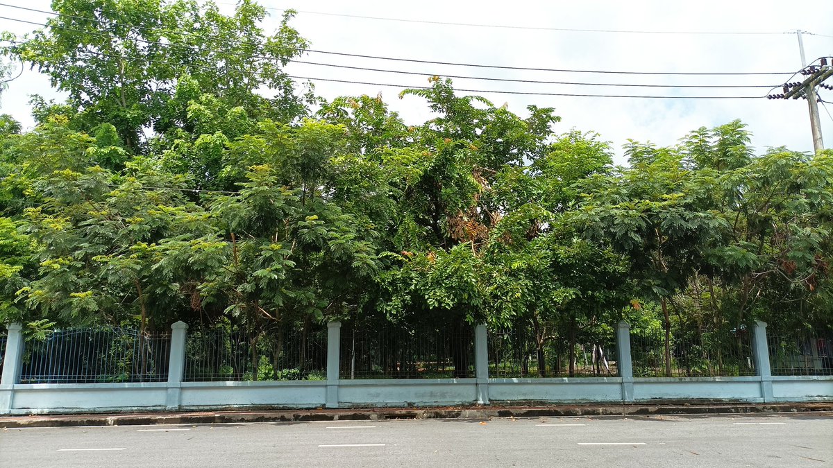 ใครเงี่ยน เอ๊ย ใครว่างมานั่งเล่นควย เอ๊ย นั่งคุยกัน 😅💦💦