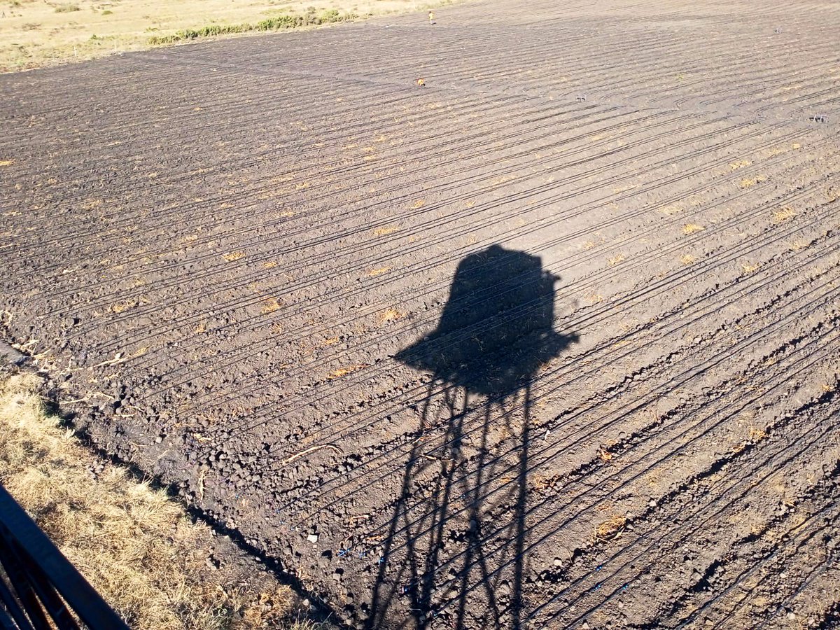 Excited to share our latest installation in Kajiado Birika for onion farming! Our team has professionally set up an advanced irrigation system, ensuring efficiency and precision from day one. Getting the setup right is crucial for a smooth farming journey. 

0732957984 |