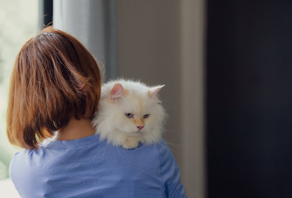 timesofindia's tweet photo. #TimesEvoke | ‘#Women always led #animalsheltering work in the US — #America’s #catladies are now mobilising’

https://t.co/HMO1iPM1DI

#pets #nature #petparents #Anthropocene https://t.co/mRrry9avpL