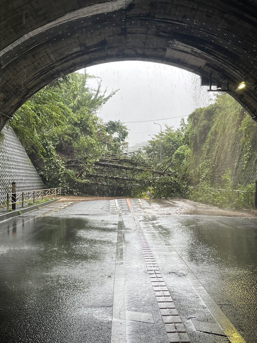 え、これマジで俺の地元？？