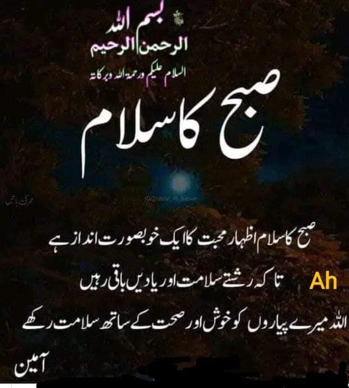 Fatima5234's tweet photo. Good morning🥱🌞 https://t.co/Wvf94Zsz8b