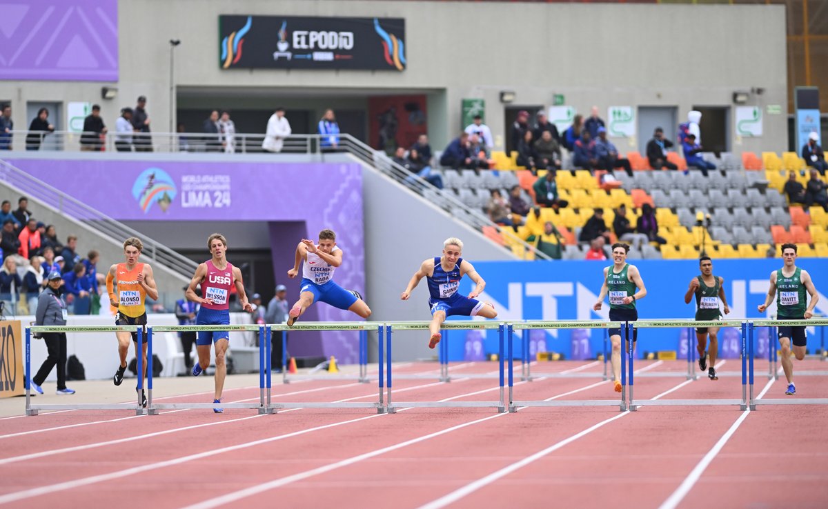 David Davitt tweet media