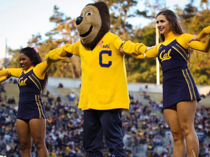Dylan Thomas - C/O 26 (@dylanthomas_12) on Twitter photo I’ll be at the University of California Berkeley this weekend!!! Go bears! <a href="/Malik_McMorris/">Coach McMorris</a> <a href="/CoachToler/">Burl Toler III</a> <a href="/MWCherrington/">Marshall Cherrington</a> <a href="/CoachAT23/">Aristotle Thompson</a> <a href="/BrandonHuffman/">Brandon Huffman</a> I’ll be at the University of California Berkeley this weekend!!! Go bears! <a href="/Malik_McMorris/">Coach McMorris</a> <a href="/CoachToler/">Burl Toler III</a> <a href="/MWCherrington/">Marshall Cherrington</a> <a href="/CoachAT23/">Aristotle Thompson</a> <a href="/BrandonHuffman/">Brandon Huffman</a>