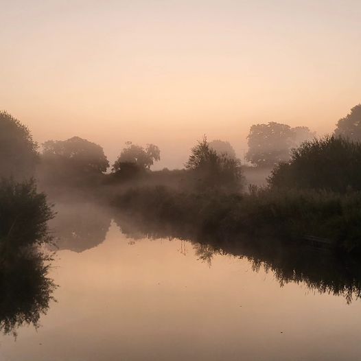 The mornings are the first to realise it is autumn. :)