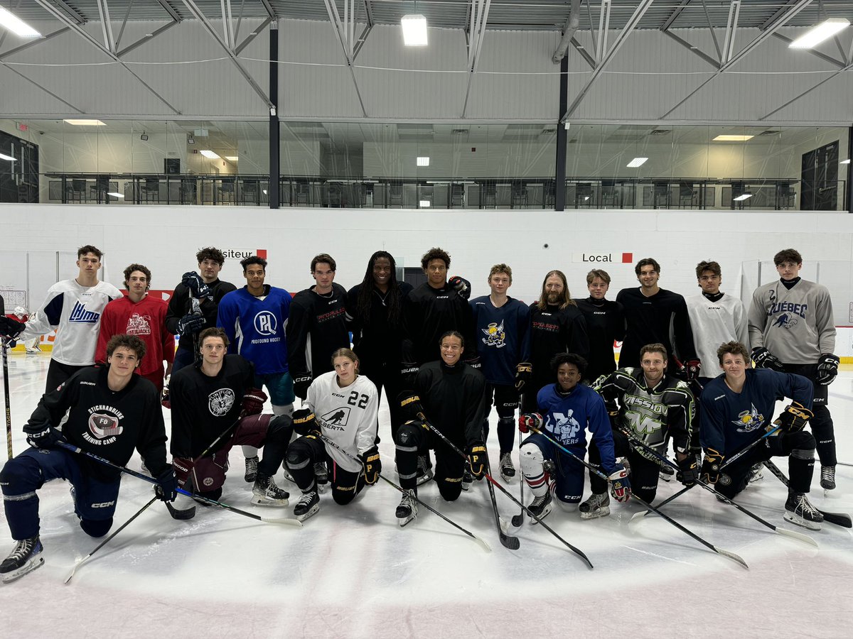 Georges Laraque tweet media
