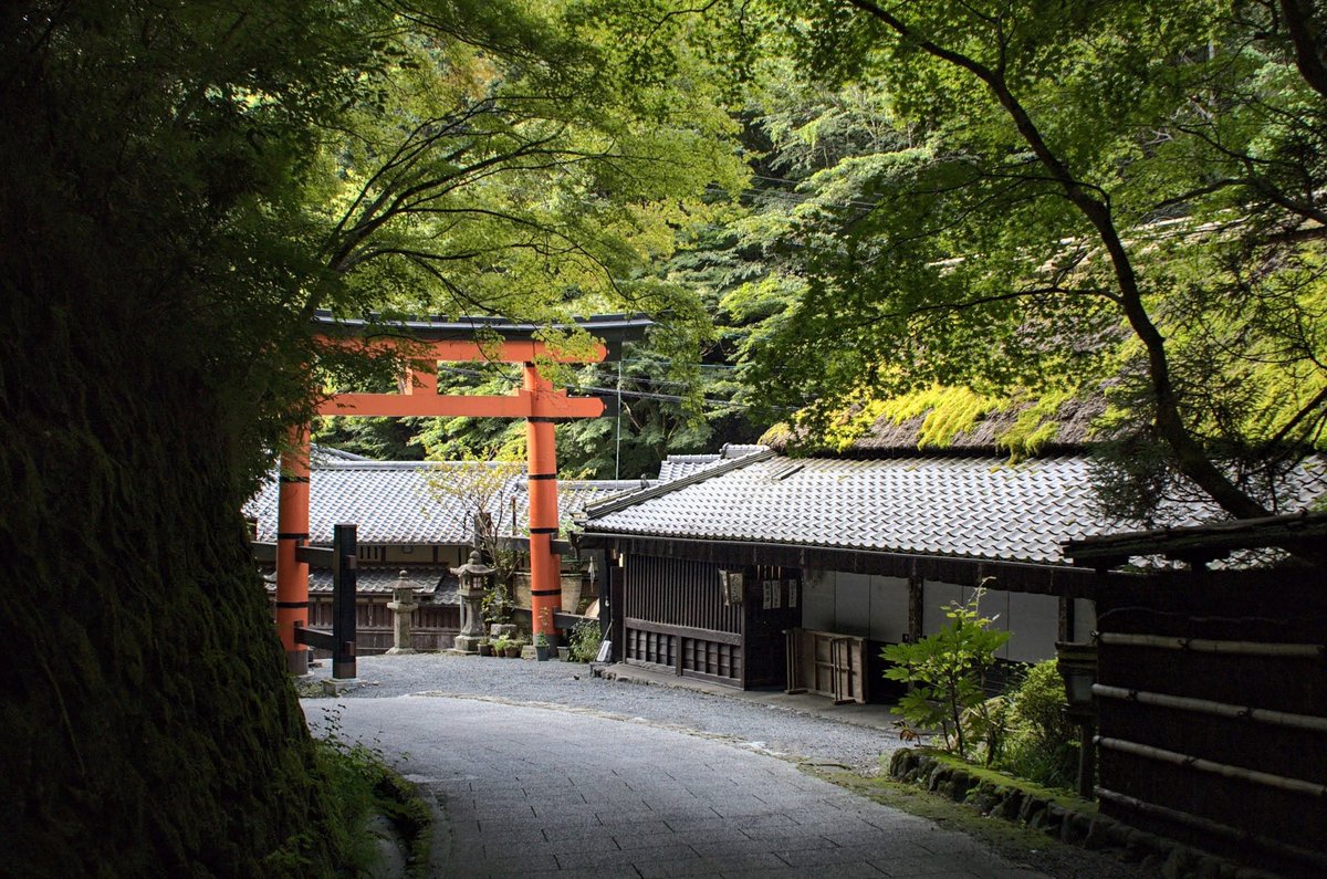 norikazu_inoue's tweet photo. 嵐山散歩_1814。

ISO1600に増感。
SPD 1:1 20℃　16分30秒

#kyoto
#arashiyama
#フィルム写真 
#ニコンf801
#afnikkor50mmf18d 
#ニューシーガル100
#ei1600 https://t.co/Sk2IBMAt3b