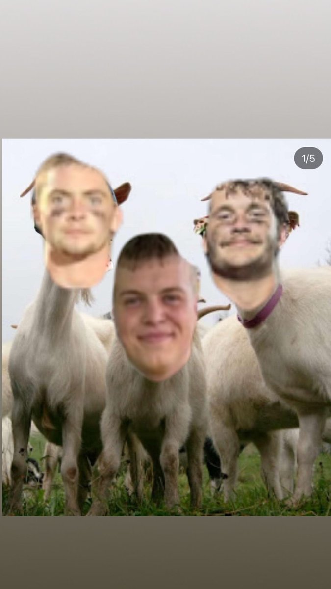 Linton Barstool tweet media