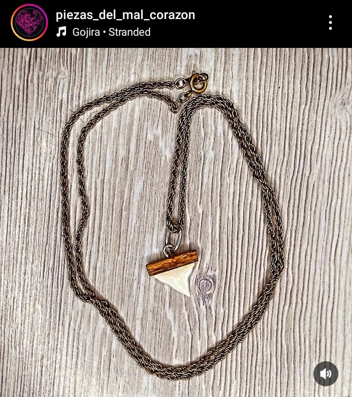 BadHeartMex's tweet photo. #fang #shark #colmillo #plata925 #silver #madeinMéxico🇲🇽 #hechoenMéxico🇲🇽 #artesanomexicano #hechoamanoconamor💜 #handmadewithlove💜 #PiezasDelMalCorazón💜📿🕉️ https://t.co/PjRlwViqgA
