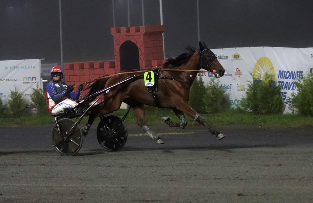 Grattisfaktion håll koll på den killen