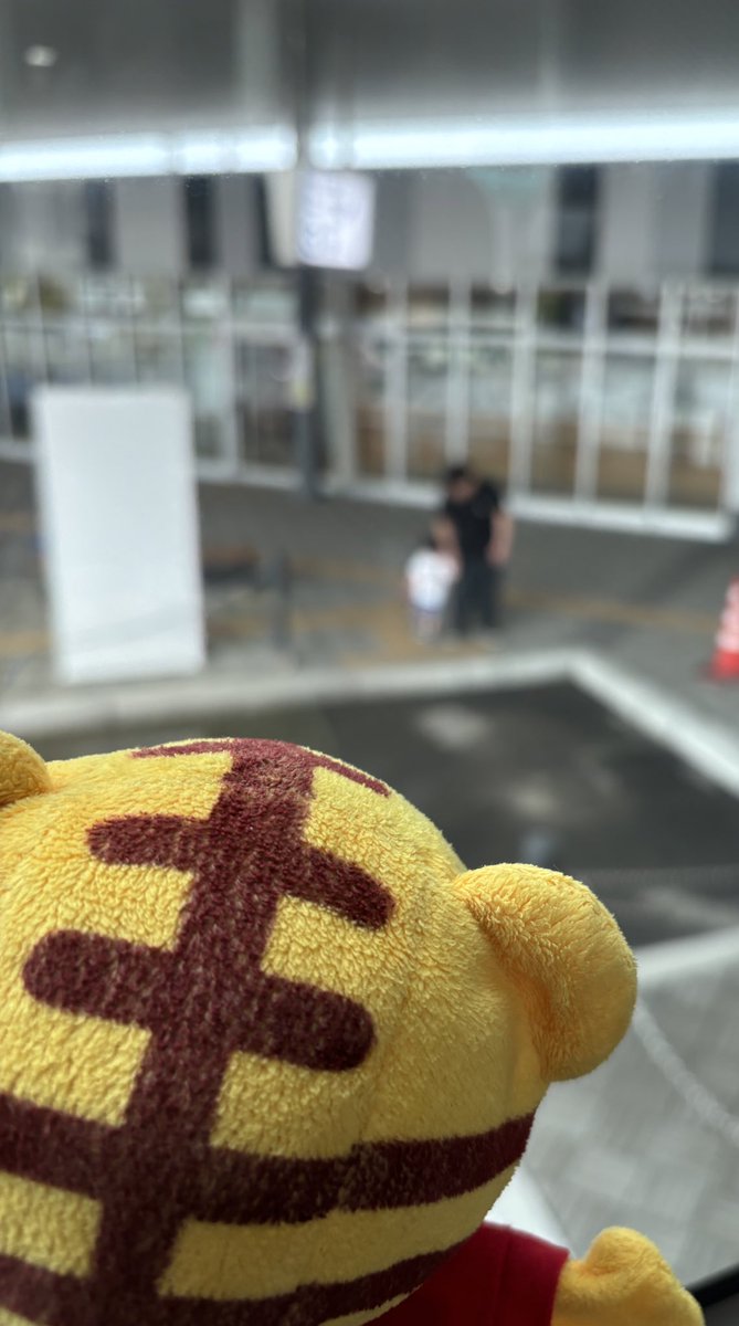 o_chann12's tweet photo. 札幌へ行ってきます🐯
@papatorachannel ありがとう https://t.co/iACo67gJVi