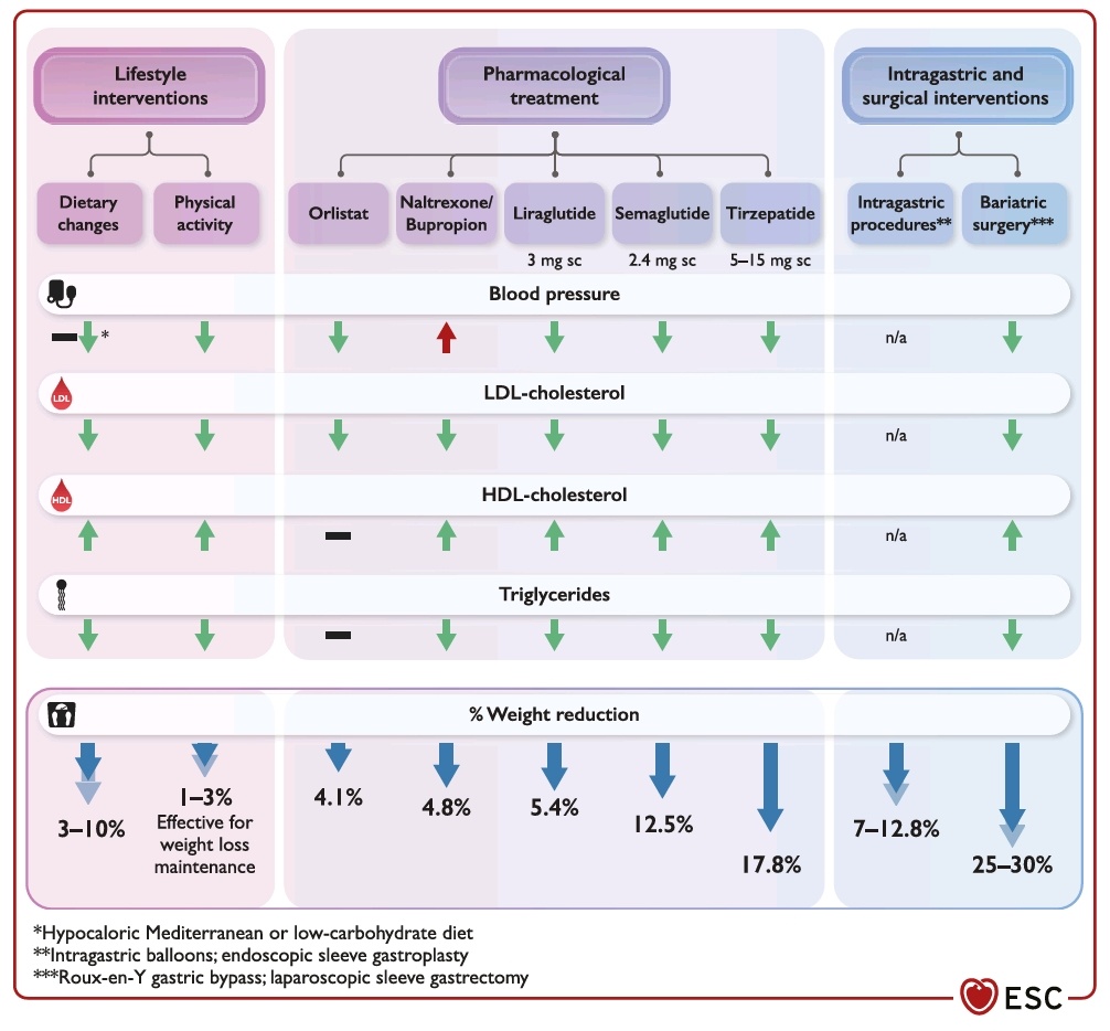 Dr Rani Khatib FESC (@drranikhatib) on Twitter photo Obesity & CVD
A new ESC clinical consensus statement. #ESCCongress 🧵
Expected effects of weight loss interventions on cardiovascular risk factors.
<a href="/escardio/">European Society of Cardiology</a> <a href="/ESC_Journals/">European Society of Cardiology Journals</a> <a href="/ESCardioNews/">European Society of Cardiology News</a>
#ESCPharmacotherapy
1/6 Obesity & CVD
A new ESC clinical consensus statement. #ESCCongress 🧵
Expected effects of weight loss interventions on cardiovascular risk factors.
<a href="/escardio/">European Society of Cardiology</a> <a href="/ESC_Journals/">European Society of Cardiology Journals</a> <a href="/ESCardioNews/">European Society of Cardiology News</a>
#ESCPharmacotherapy
1/6
