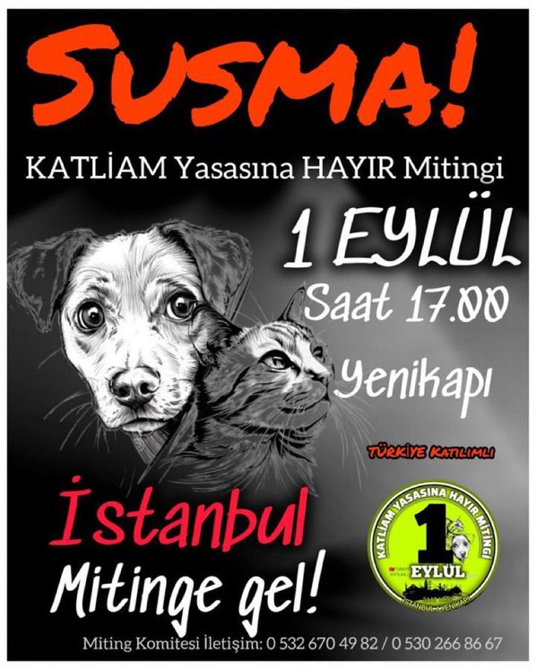 Katliama hayır sokak hayvanlarını yaşatmak için susmayalım