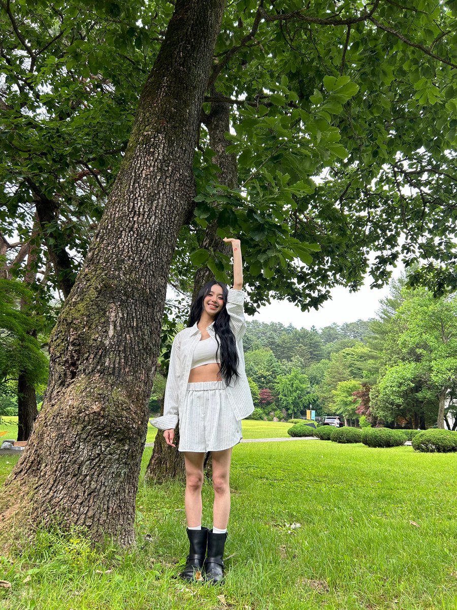 채영이 일기예보 tweet media