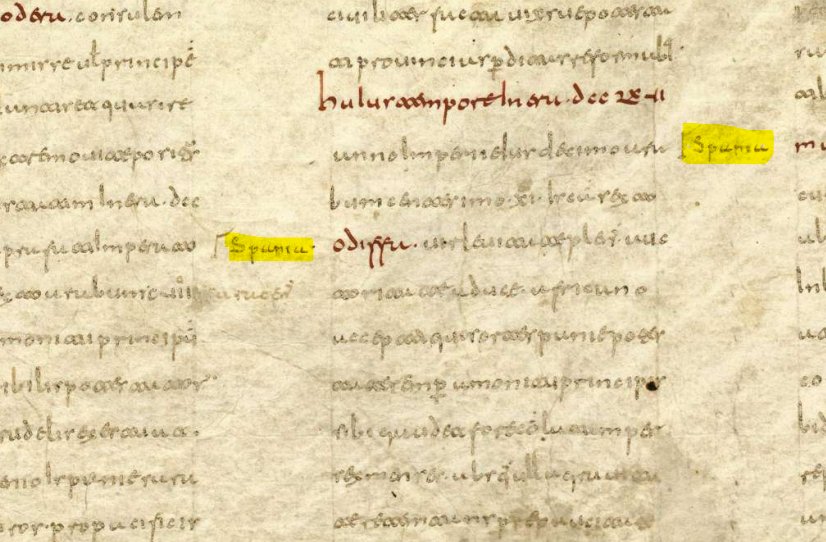 Thesaurarius's tweet image. En la Crónica mozárabe del 754 se menciona siempre #Spania (= Hispania), mientras que en el resto de naciones son &quot;romanorum&quot;, &quot;arabum&quot;, &quot;francorum&quot;. Es sabido que tanto al final del período romano como del visigodo había conciencia unitaria como nación y cultura hispana.