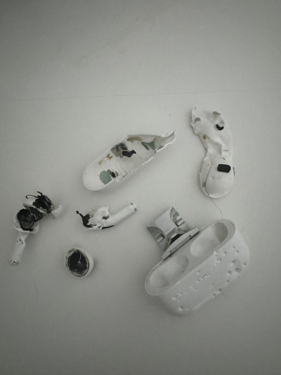 Word to the wise, don’t leave your AirPods and your dog in room together alone……..