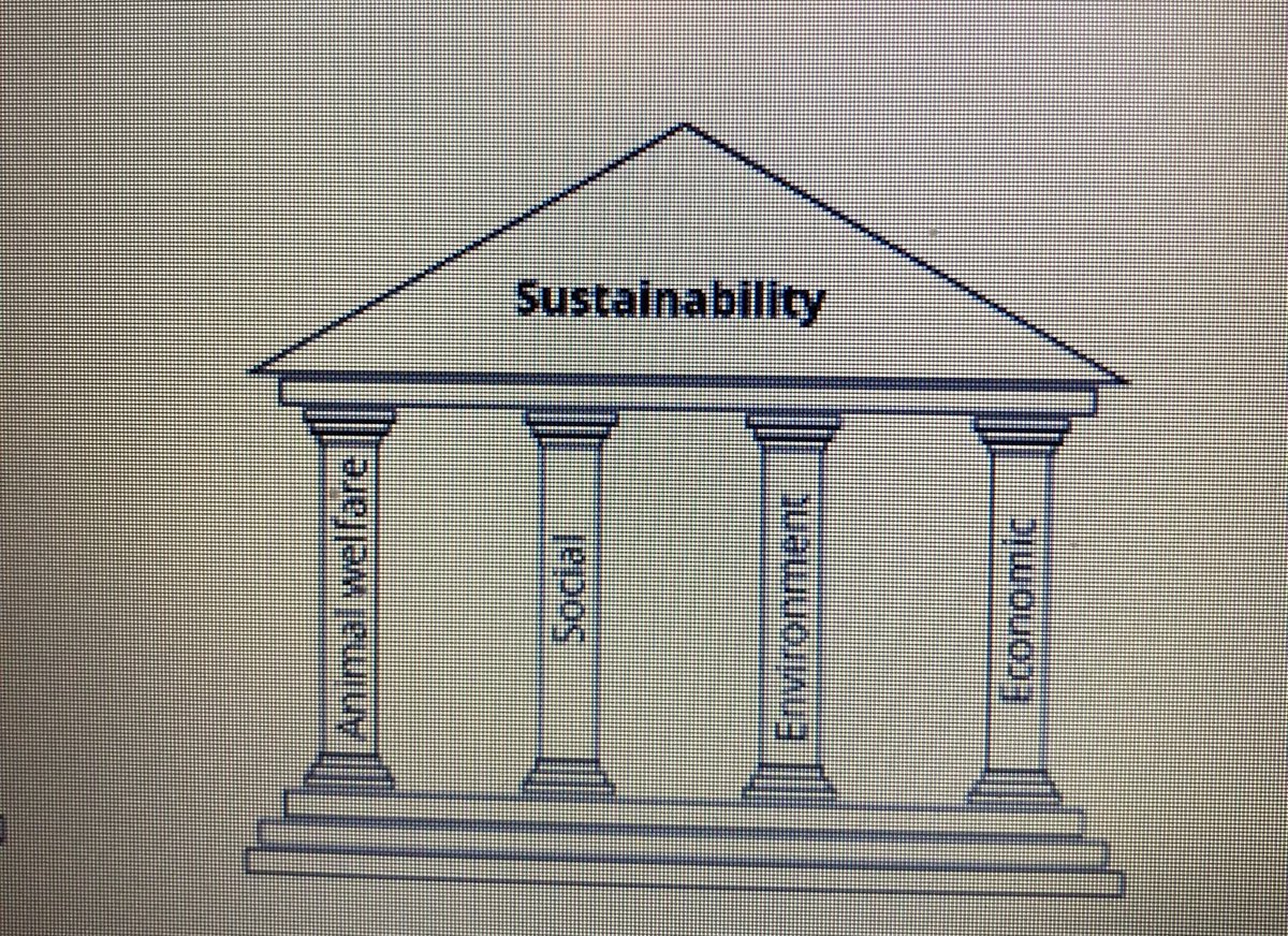 Laura Boyle 🇮🇪 (@laboyle2) on Twitter photo Peter Stevenson <a href="/ciwf/">Compassion in World Farming UK</a> makes a passionate plea for #animalwelfare to be the 4th pillar supporting sustainability of #livestockproduction #animalwelfarescience
#WAFL2024 Peter Stevenson <a href="/ciwf/">Compassion in World Farming UK</a> makes a passionate plea for #animalwelfare to be the 4th pillar supporting sustainability of #livestockproduction #animalwelfarescience
#WAFL2024