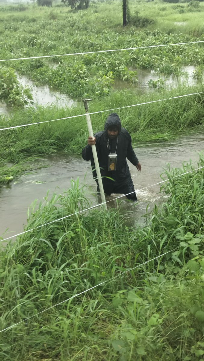 mgvcl_mgvcl's tweet photo. Our field staff displayed remarkable commitment during heavy rains, working tirelessly on power restoration and tackling challenges head-on. Their efforts in such demanding conditions exemplify the team's dedication and resilience. ⚡ #MGVCL #ConsumerFirst https://t.co/bFfX67cxFo