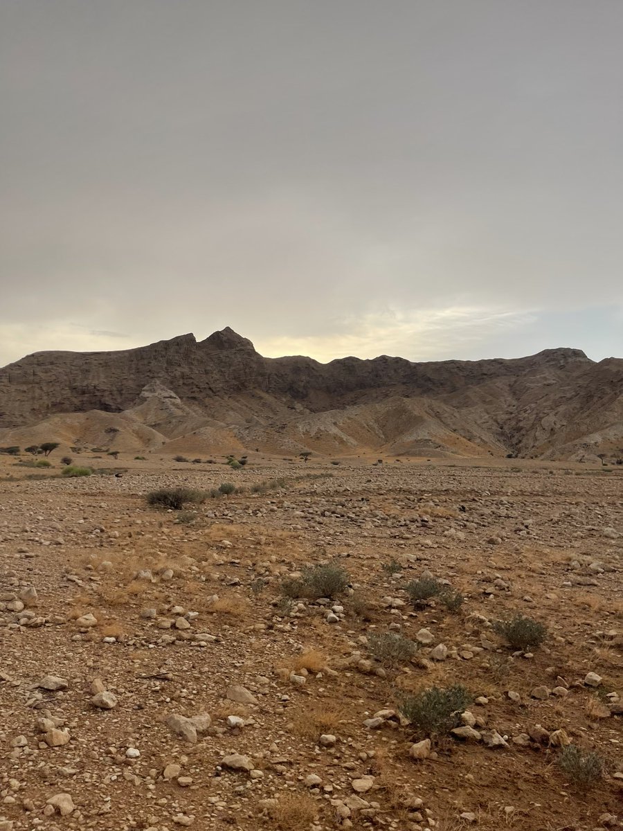 astrwkr's tweet photo. جعـل السحـاب اللي معه بـرق ورعـود
يمطـر على دارٍ ولـيفي سكنها....🩵🌧 https://t.co/sYqHU9ddAg