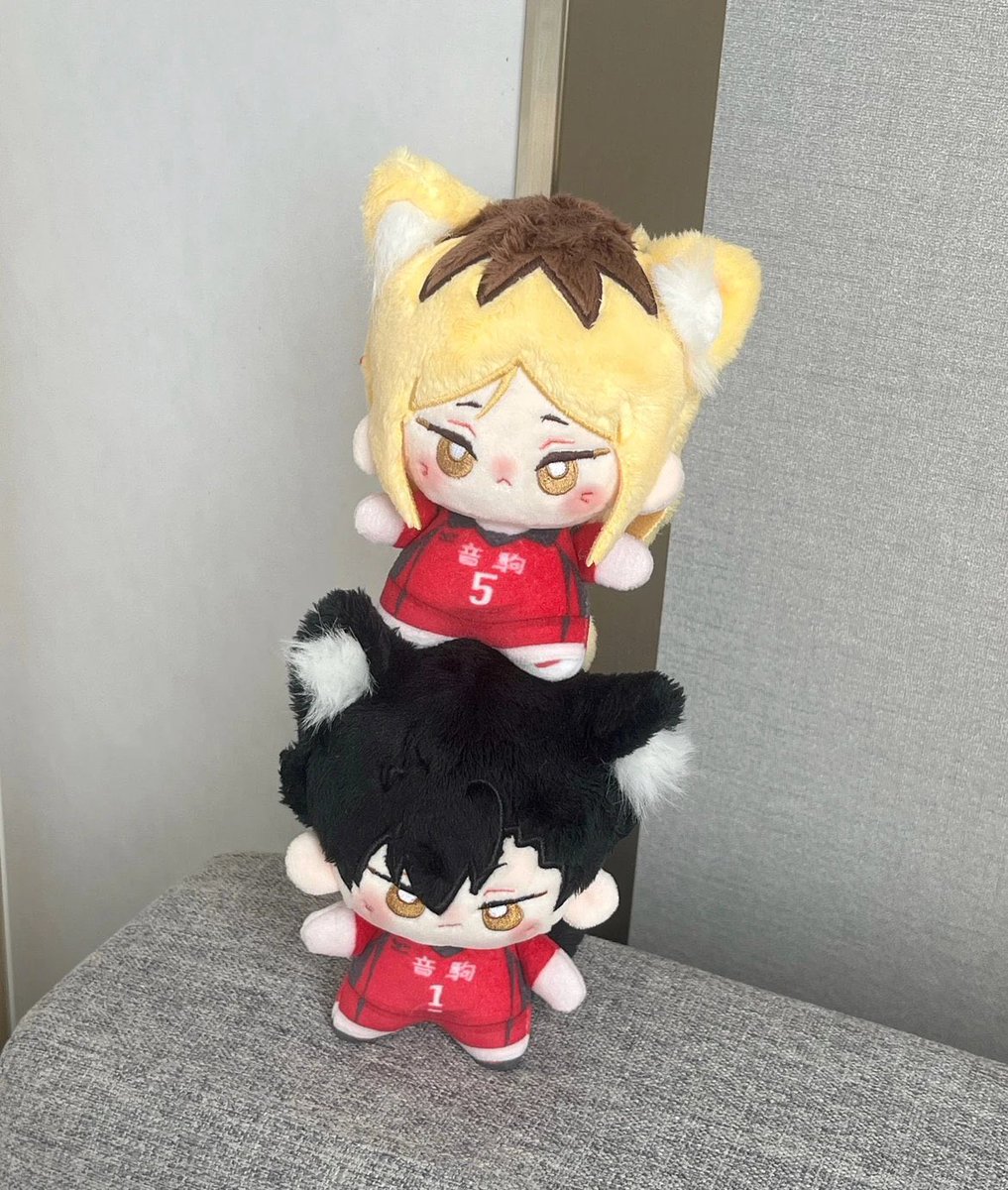 August5th2's tweet photo. Pre-order : ตุ๊กตา Haikyuu fanmade 10 cm (คุโระ เคนมะ)

- 320฿ รวมส่งมาไทย 
- ขนาด 10 cm สกรีนลาย หูและหางถอดไม่ได้ 

❌ปิดรับ 7/09 รอสินค้าประมาณ 3-3.5 เดือน
📮สั่งซื้อ DM
📦ค่าส่ง EMS 40
⚠️สินค้าอาจมีตำหนิจากการผลิต ขนส่ง

#ตลาดนัดไฮคิว #ตลาดนัดHQ #ตลาดนัดHaikyuu https://t.co/YtrcVndboF