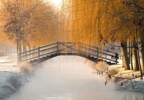 JasonAMyers's tweet photo. Autumn Frost, France #AutumnFrost #France https://t.co/rX3XGS0lKn https://t.co/iQ5UkJIPcV