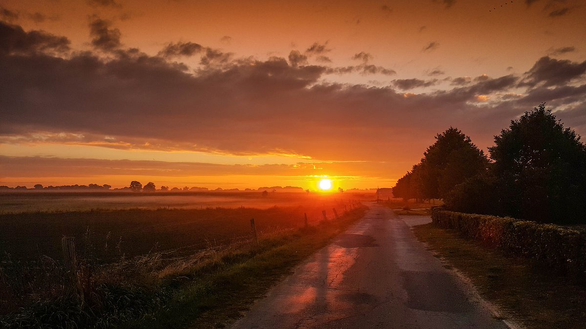 Steve58815862's tweet photo. Good morning everyone. Happy Saturday 🌞 ☕
#31Aug #saturdayvibes #saturday #weekendvibes #weekend #newweek #beauty #beautiful #nature #naturephotography #wallpaper #wallpapers #GoodMorning https://t.co/YeLk42eIKJ