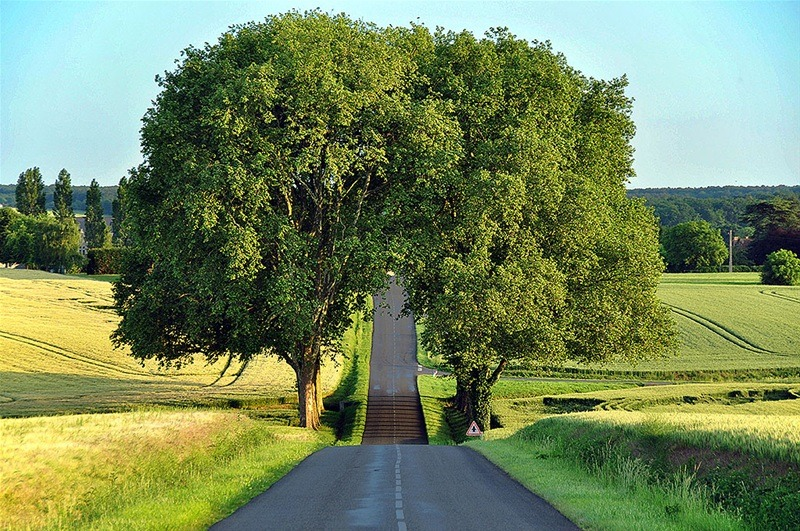 JasonAMyers's tweet photo. Country Road, Loire, France #CountryRoad #Loire #France https://t.co/v5KJBSn3u4 https://t.co/BRccvnKI4I