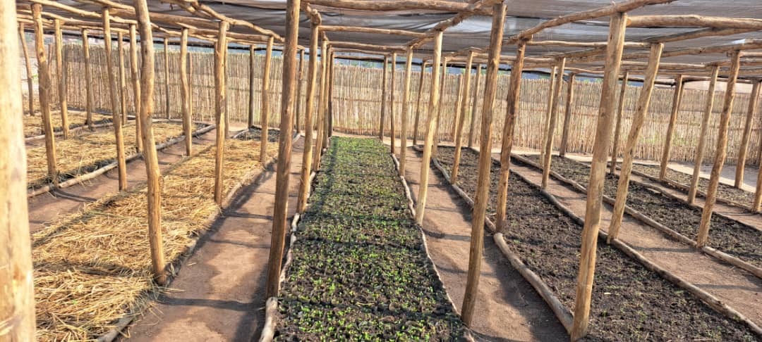 In response the Climate related chocs and emergencies in Rwanda, <a href="/Duhamic1/">DUHAMIC-ADRI</a> is actively present in <a href="/NgororeroDistr/">Ngororero District</a> and <a href="/GisagaraDistr/">Gisagara District</a> to implement the Climate Just Community Project (#CJCProject). 

Our ongoing joint efforts including: 
* Retrofitting of houses damaged by heavy