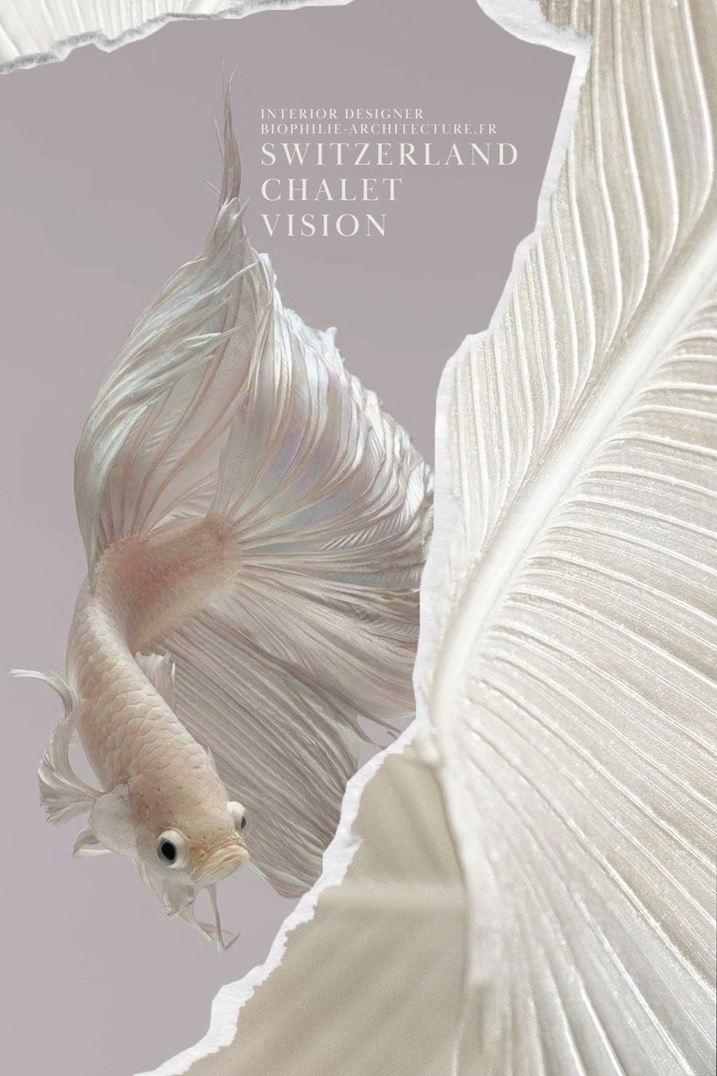 extraordinarywd's tweet photo. I love all the Colors of Nature and I create Extraordinary Worlds for Extraordinary People
#suisse #france #white #snow #chalet #aquarium #nature #backtonature #interiordesign #inspi #architecture #biophilia #biophilicdesign #reconnect #neuroscienceforarchitecture #archihunter https://t.co/fbM9PRuTGw