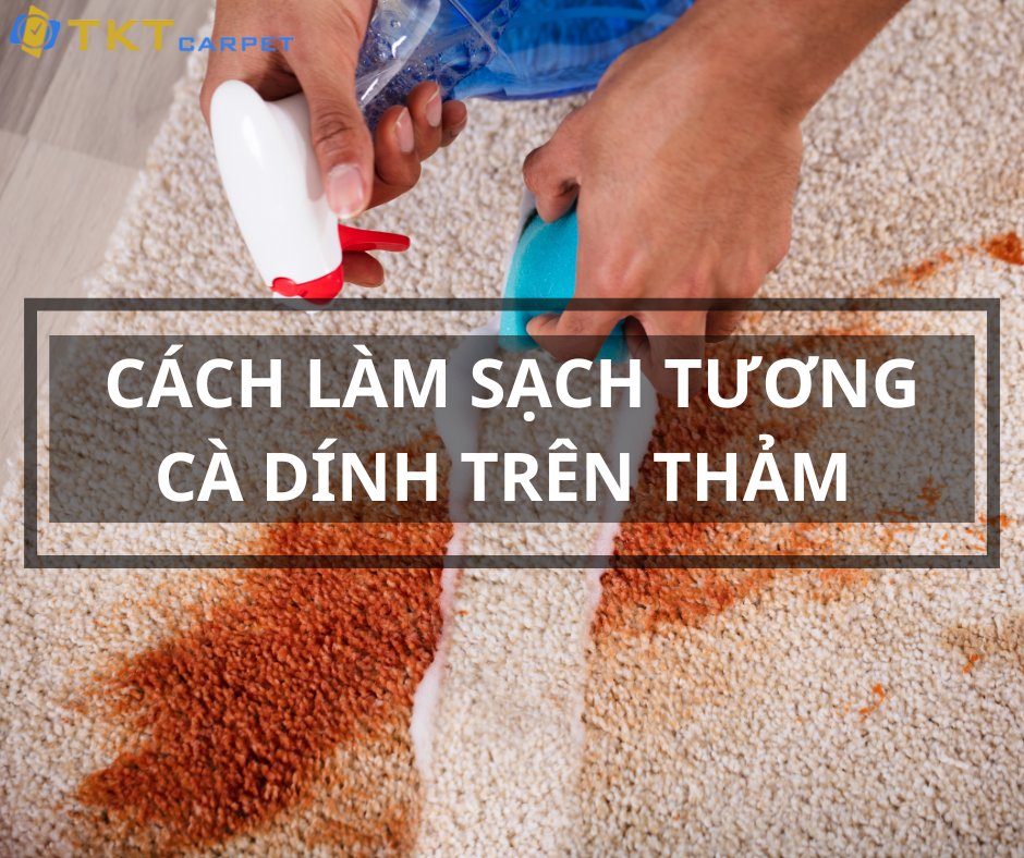 Cách làm sạch tương cà dính trên thảm  dlvr.it/TCbPv6