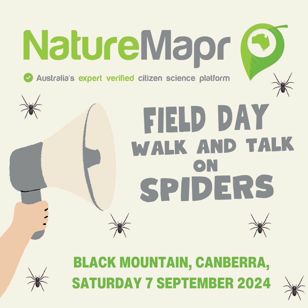 NatureMapr (@naturemapr) on Twitter photo Listen and learn from our spider experts as they take you on a guided walk in Black Mountain Nature Reserve, introducing you to the mysteries of spiders and how best to photograph them for easy identification, visit link to register (spaces are limited): canberra.naturemapr.org/events/12 Listen and learn from our spider experts as they take you on a guided walk in Black Mountain Nature Reserve, introducing you to the mysteries of spiders and how best to photograph them for easy identification, visit link to register (spaces are limited): canberra.naturemapr.org/events/12