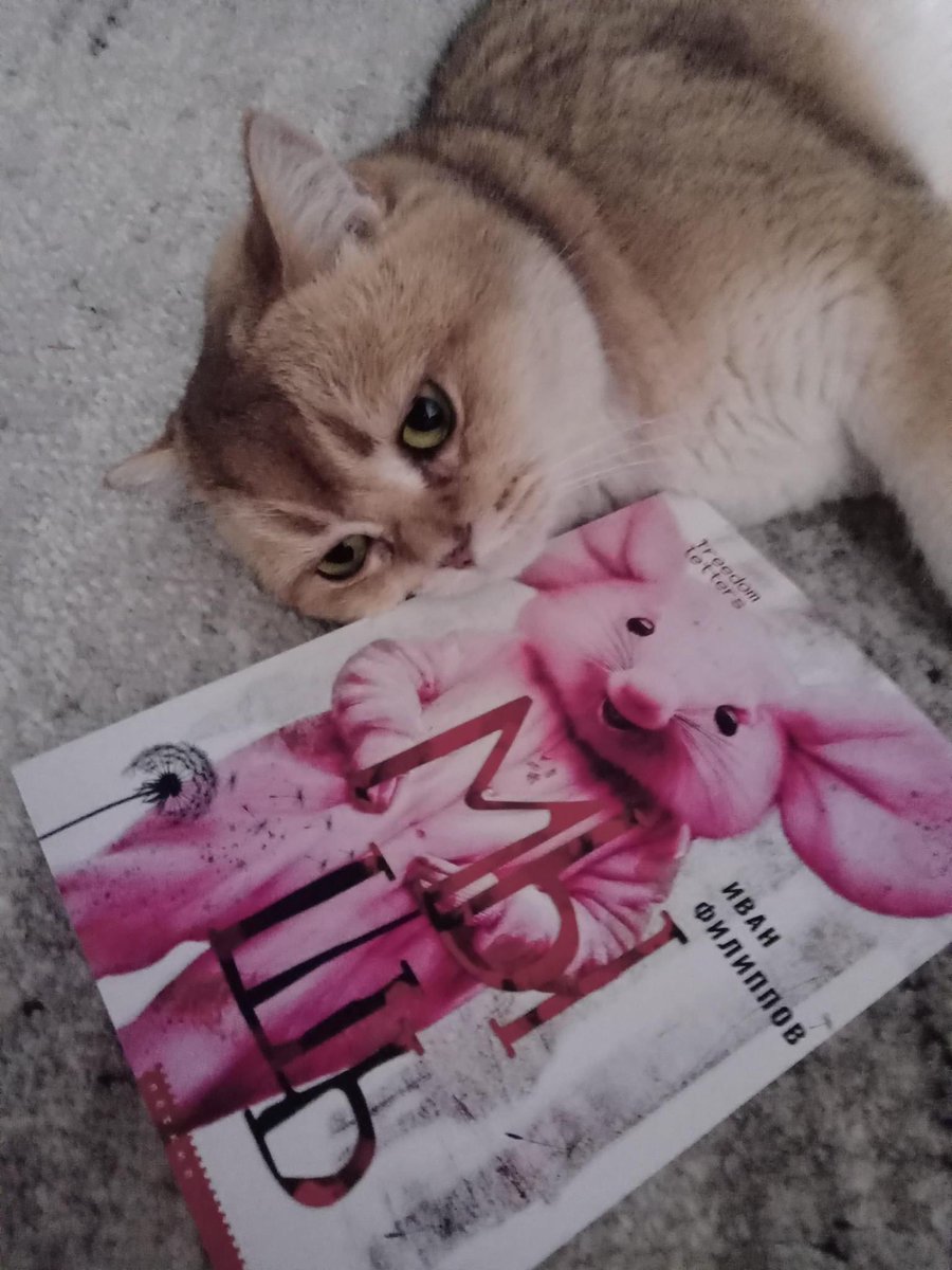 Икебана смыслов tweet media