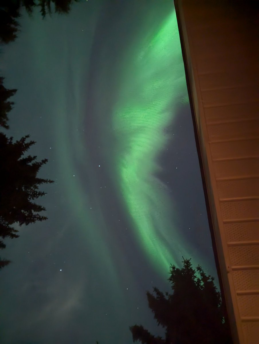 Bruce McCurdy tweet media