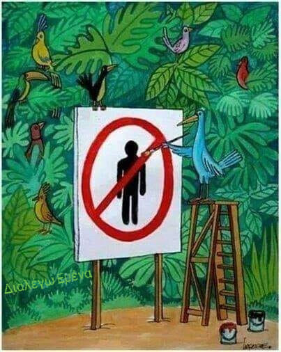 Μια εικόνα ....χίλιες λέξεις!!!