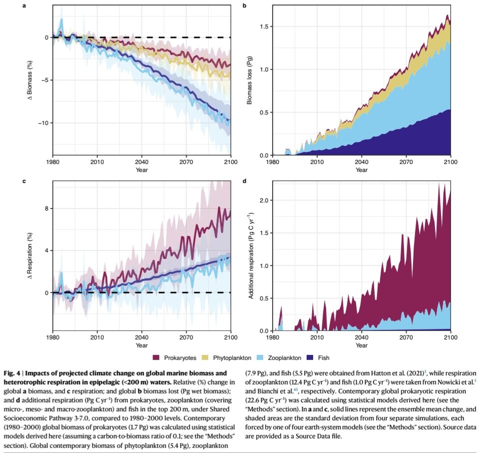 microbialoceanW's tweet image. 📌 New publication in @NatureComms indicates that microbes are doing better than other marine organisms under ocean warming.
📄  doi.org/10.1038/s41467…